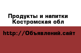  Продукты и напитки. Костромская обл.